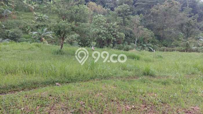 Tanah untuk Dijual Lokasi Pandaan, Pasuruan Luas 325m2 - Tanah untuk Dijual Lokasi Pandaan, Pasuruan Luas 325m2 -