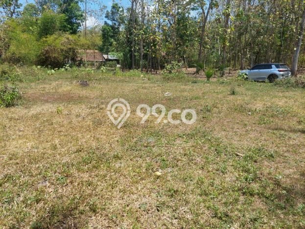 Jual Tanah di Sentolo, Luas 311m², Dekat Pusat Kota Jual Tanah di Sentolo, Luas 311m², Dekat Pusat Kota