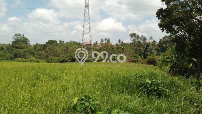 Jarang Ada! Tanah Kavling Disewakan di Gianyar 24760m2 Jarang Ada! Tanah Kavling Disewakan di Gianyar 24760m2