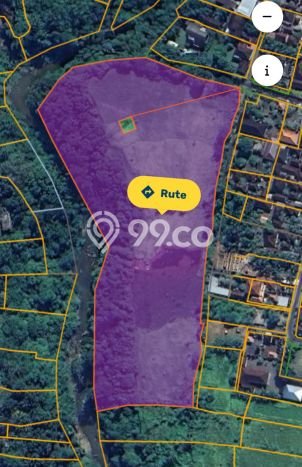 Jarang Ada! Tanah Kavling Disewakan di Gianyar 24760m2 Jarang Ada! Tanah Kavling Disewakan di Gianyar 24760m2