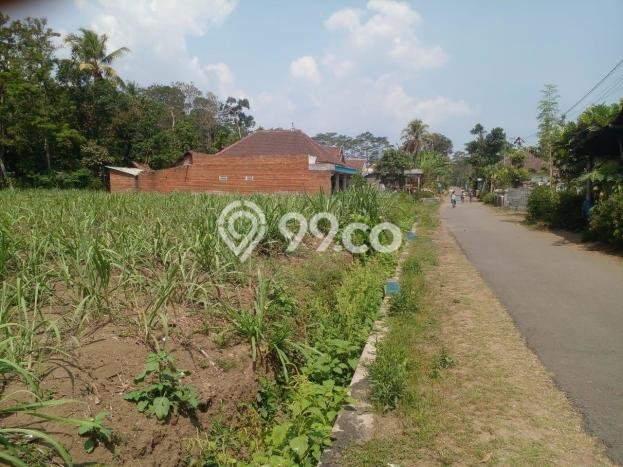 Lahan Strategis di Bululawang Dijual dengan Luas 29444m2 Lahan Strategis di Bululawang Dijual dengan Luas 29444m2
