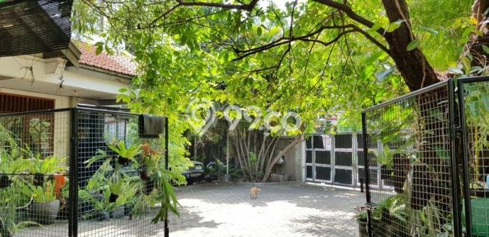 Rumah Mewah LB 381m2 Siap Pakai Desain Elegan di Panjang Jiwo, Surabaya Rumah Mewah LB 381m2 Siap Pakai Desain Elegan di Panjang Jiwo, Surabaya