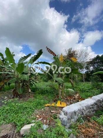 Dijual Tanah 1100m2 di Munggu, Badung Dijual Tanah 1100m2 di Munggu, Badung