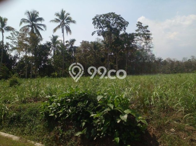 Lahan Strategis di Bululawang Dijual dengan Luas 29444m2 Lahan Strategis di Bululawang Dijual dengan Luas 29444m2