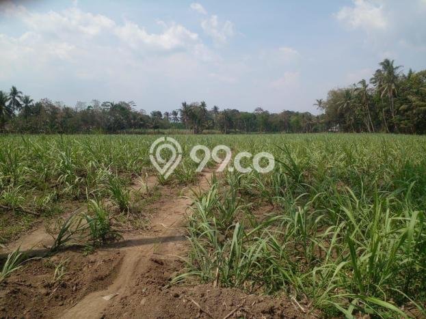 Lahan Strategis di Bululawang Dijual dengan Luas 29444m2 Lahan Strategis di Bululawang Dijual dengan Luas 29444m2