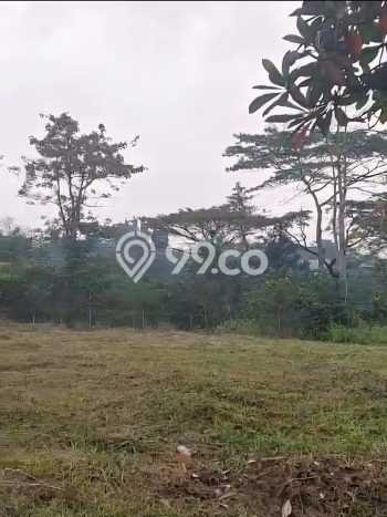 Tanah di Pandaan, Pasuruan Luas 999m2 Dijual Segera Tanah di Pandaan, Pasuruan Luas 999m2 Dijual Segera