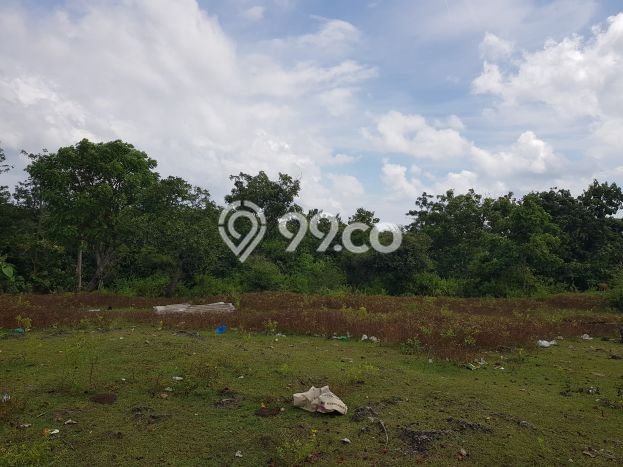 Tanah Dijual di Badung Seluas 2000m2 Strategis Tanah Dijual di Badung Seluas 2000m2 Strategis