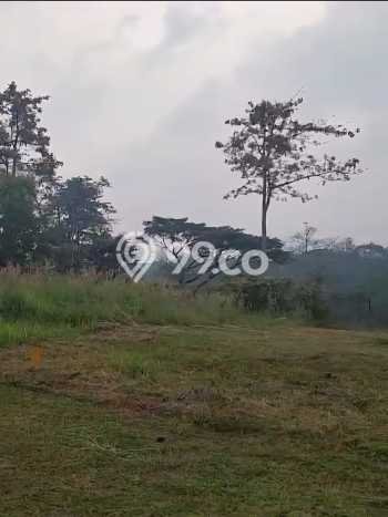 Tanah di Pandaan, Pasuruan Luas 999m2 Dijual Segera Tanah di Pandaan, Pasuruan Luas 999m2 Dijual Segera