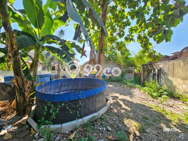 Dijual Rumah 0 Kamar Lokasi Ideal Nyaman dan Strategis di Sambikerep Dijual Rumah 0 Kamar Lokasi Ideal Nyaman dan Strategis di Sambikerep