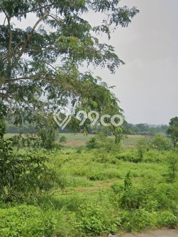 Jarang Ada! Tanah di Pacet Punya Luas 3365m2 - Jarang Ada! Tanah di Pacet Punya Luas 3365m2 -