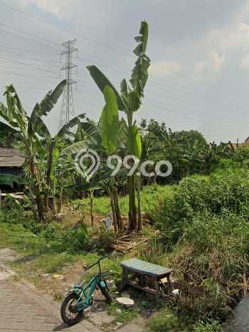 Lahan untuk Dijual di Sambikerep Surabaya Luas 966m2 Lahan untuk Dijual di Sambikerep Surabaya Luas 966m2