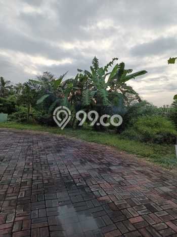 Dijual Tanah 1100m2 di Munggu, Badung Dijual Tanah 1100m2 di Munggu, Badung