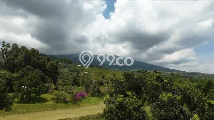 Tanah Dijual Lokasi Cijeruk, Bogor Luas 35000m2 Legalitas Aman Tanah Dijual Lokasi Cijeruk, Bogor Luas 35000m2 Legalitas Aman