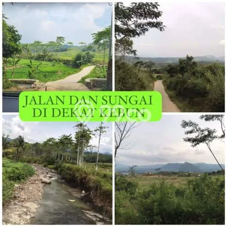 Tanah Dijual Lokasi Bogor Timur, Bogor Luas 20000m2 Legalitas Aman Tanah Dijual Lokasi Bogor Timur, Bogor Luas 20000m2 Legalitas Aman