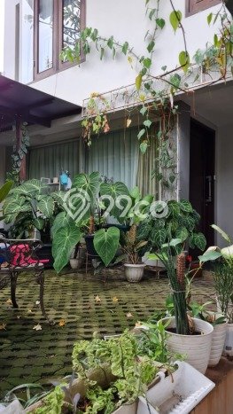 Best Deal Hunian Premium Ideal dan Luas di Menteng, Jakarta Pusat Best Deal Hunian Premium Ideal dan Luas di Menteng, Jakarta Pusat