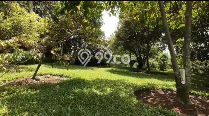 Tanah Dijual Lokasi Cijeruk, Bogor Luas 35000m2 Legalitas Aman Tanah Dijual Lokasi Cijeruk, Bogor Luas 35000m2 Legalitas Aman