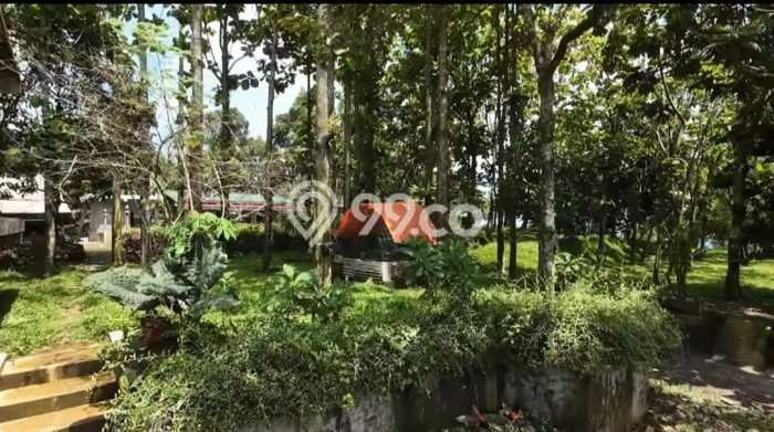 Tanah Dijual Lokasi Cijeruk, Bogor Luas 35000m2 Legalitas Aman Tanah Dijual Lokasi Cijeruk, Bogor Luas 35000m2 Legalitas Aman