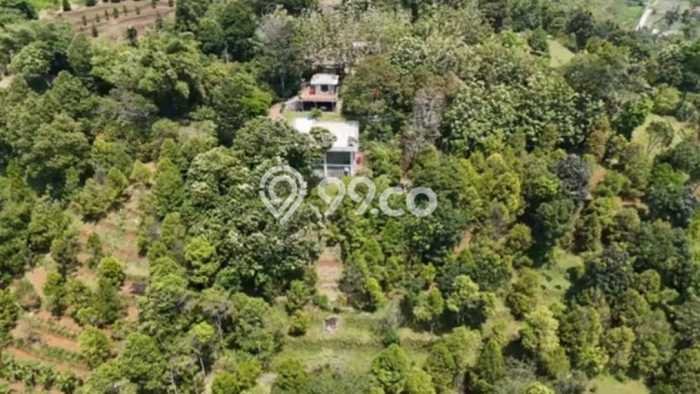 Tanah Dijual Lokasi Cijeruk, Bogor Luas 35000m2 Legalitas Aman Tanah Dijual Lokasi Cijeruk, Bogor Luas 35000m2 Legalitas Aman