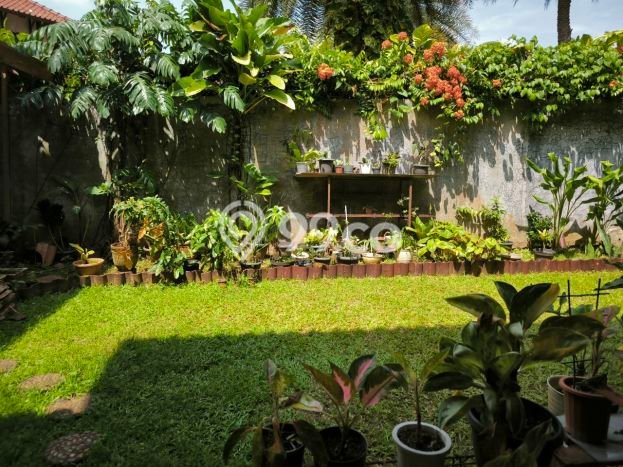 Siap Huni Rumah Mewah 4 Kamar di Cinere Dekat ke Mana Pun Siap Huni Rumah Mewah 4 Kamar di Cinere Dekat ke Mana Pun