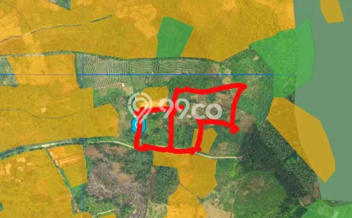 Tanah Dijual Lokasi Bogor Timur, Bogor Luas 20000m2 Legalitas Aman Tanah Dijual Lokasi Bogor Timur, Bogor Luas 20000m2 Legalitas Aman