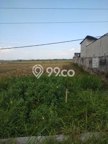 Tanah Dijual Lokasi Soreang, Bandung Luas 710m2 Legalitas Aman Tanah Dijual Lokasi Soreang, Bandung Luas 710m2 Legalitas Aman