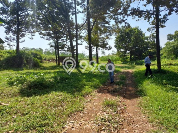 Tanah Dijual Lokasi Sukorejo, Pasuruan dengan Luas Tanah 700000m2 dan Status SHM Tanah Dijual Lokasi Sukorejo, Pasuruan dengan Luas Tanah 700000m2 dan Status SHM