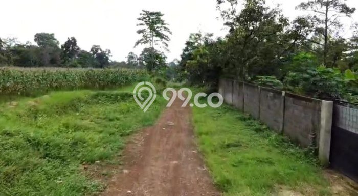 Tanah Dijual Lokasi Sukorejo, Pasuruan dengan Luas Tanah 700000m2 dan Status SHM Tanah Dijual Lokasi Sukorejo, Pasuruan dengan Luas Tanah 700000m2 dan Status SHM