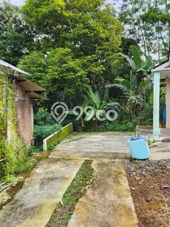 Jarang Ada! Tanah di Ungaran Barat Punya Luas 2000m2 SHM Jarang Ada! Tanah di Ungaran Barat Punya Luas 2000m2 SHM