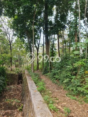 Tanah Siap Bangun Dijual di Semarang Punya Luas 3745m2 Tanah Siap Bangun Dijual di Semarang Punya Luas 3745m2