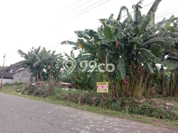 Tanah Disewa Strategis di Semarang Luas 1260m2 Tanah Disewa Strategis di Semarang Luas 1260m2
