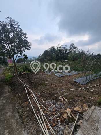 Tanah Komersial Dijual di Bandungan Semarang 545m2 Tanah Komersial Dijual di Bandungan Semarang 545m2