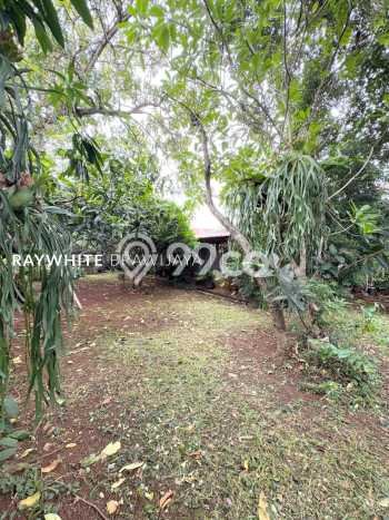 Dijual Rumah Premium dengan Fasilitas Sekitar Lengkap di Jagakarsa, Jakarta Selatan Dijual Rumah Premium dengan Fasilitas Sekitar Lengkap di Jagakarsa, Jakarta Selatan