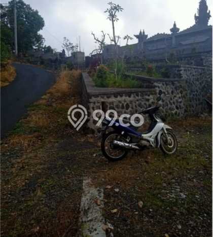 Tanah untuk Dijual di Buleleng Buleleng Luas 65000m2 Tanah untuk Dijual di Buleleng Buleleng Luas 65000m2