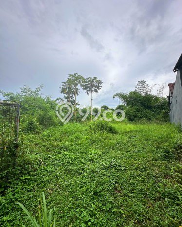 Tanah Kavling Dijual di Jakarta Selatan dengan Spesifikasi 2035m2 Tanah Kavling Dijual di Jakarta Selatan dengan Spesifikasi 2035m2