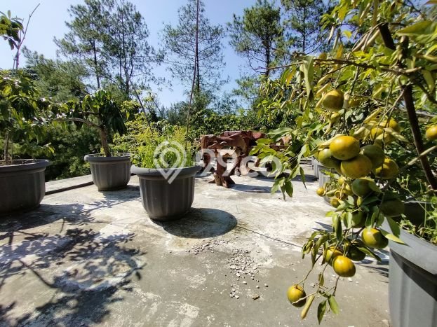 Rumah di Geger Kalong, Bandung, Luas 288m² Bangunan 400m² - SEGERA MILIKI! Rumah di Geger Kalong, Bandung, Luas 288m² Bangunan 400m² - SEGERA MILIKI!