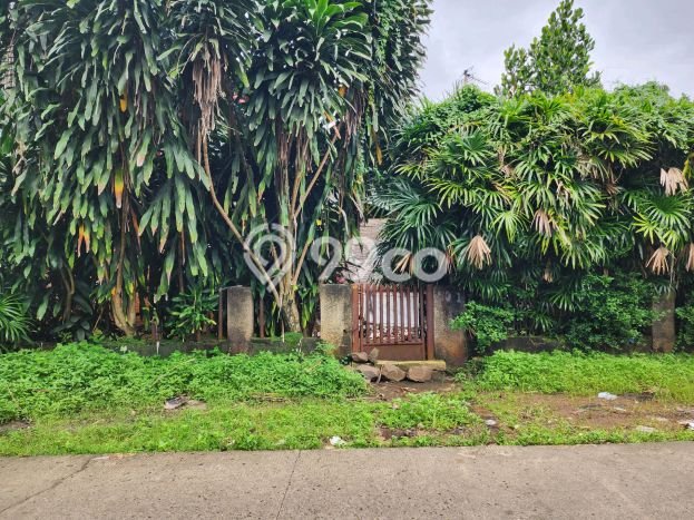 Jarang Ada! Tanah di Cimanggis Punya Luas 1772m2 SHM Jarang Ada! Tanah di Cimanggis Punya Luas 1772m2 SHM