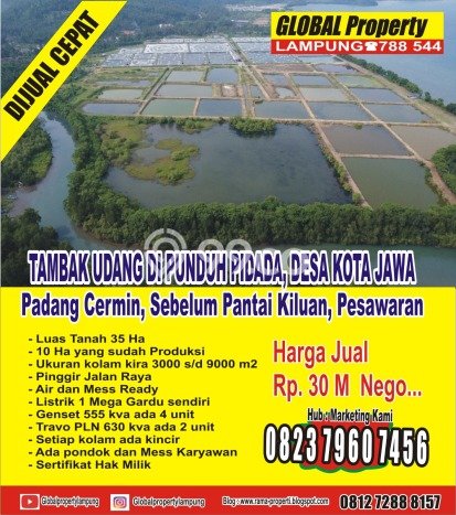 Komersial Paling Dicari LB 35m2 Dijual di Padang Cermin Komersial Paling Dicari LB 35m2 Dijual di Padang Cermin