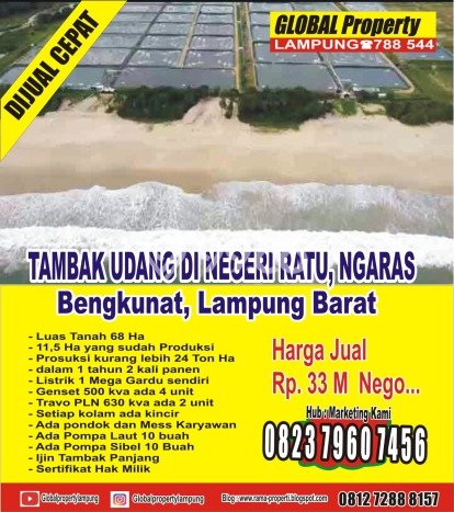 Komersial Dijual di Prime Area Lampung Barat Luas 68m2 Komersial Dijual di Prime Area Lampung Barat Luas 68m2