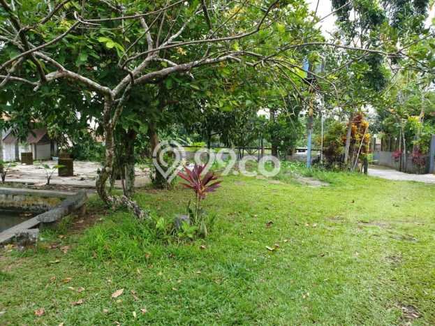 Tanah untuk Dijual Lokasi Purwokerto , Purwokerto Luas 2384m2 SHM Tanah untuk Dijual Lokasi Purwokerto , Purwokerto Luas 2384m2 SHM