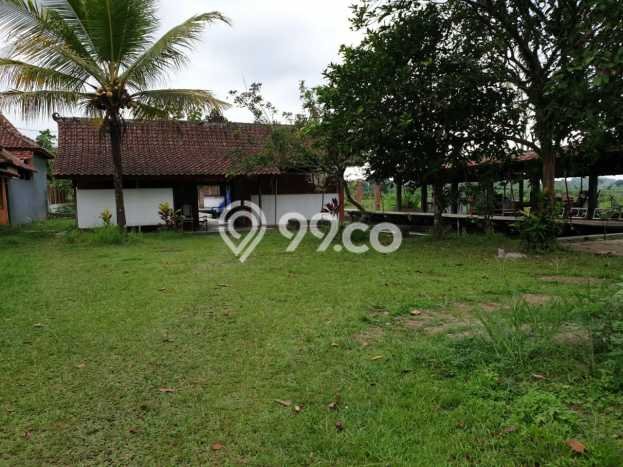 Tanah untuk Dijual Lokasi Purwokerto , Purwokerto Luas 2384m2 SHM Tanah untuk Dijual Lokasi Purwokerto , Purwokerto Luas 2384m2 SHM