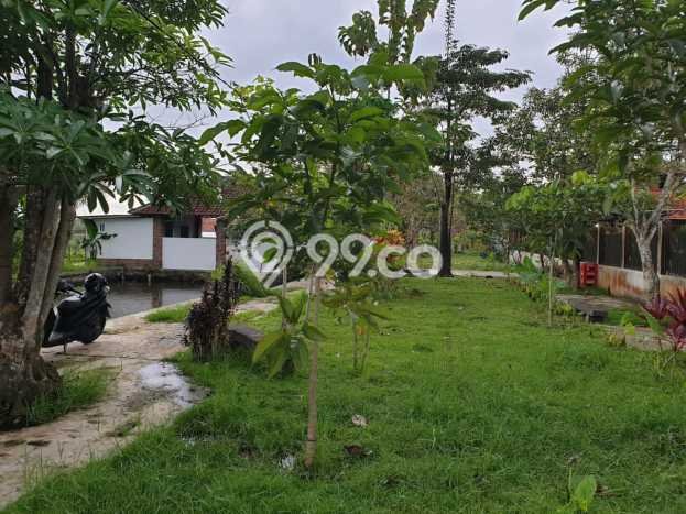 Tanah untuk Dijual Lokasi Purwokerto , Purwokerto Luas 2384m2 SHM Tanah untuk Dijual Lokasi Purwokerto , Purwokerto Luas 2384m2 SHM