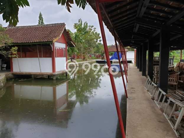 Tanah untuk Dijual Lokasi Purwokerto , Purwokerto Luas 2384m2 SHM Tanah untuk Dijual Lokasi Purwokerto , Purwokerto Luas 2384m2 SHM
