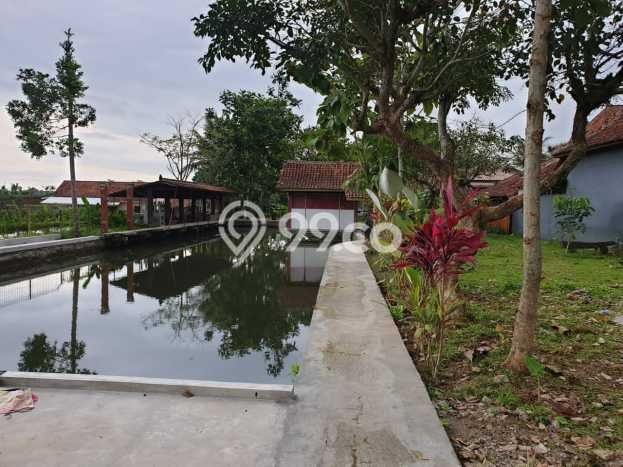Tanah untuk Dijual Lokasi Purwokerto , Purwokerto Luas 2384m2 SHM Tanah untuk Dijual Lokasi Purwokerto , Purwokerto Luas 2384m2 SHM