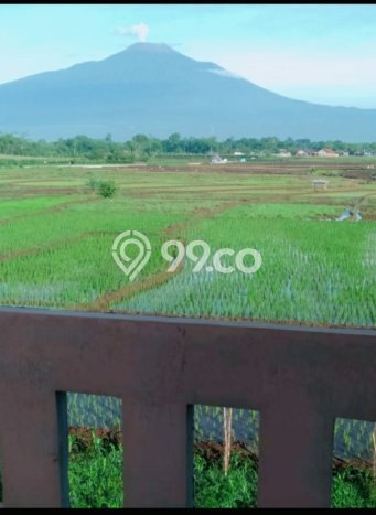 Rumah Modern Cantik 2 Kamar Siap Huni di Purbalingga Rumah Modern Cantik 2 Kamar Siap Huni di Purbalingga