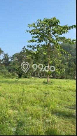 Tanah Dijual Lokasi Cibeber, Cianjur Luas 40000m2 Legalitas Aman Tanah Dijual Lokasi Cibeber, Cianjur Luas 40000m2 Legalitas Aman