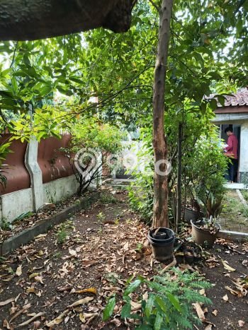 Kavling Tanah Dijual di Cimanggis Depok Spesifikasi 185m2 Kavling Tanah Dijual di Cimanggis Depok Spesifikasi 185m2