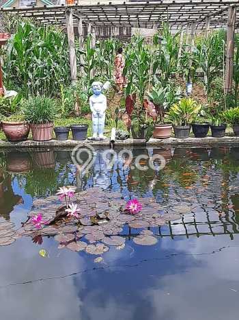 Kavling Tanah di Sukaresmi Dijual Luas 245m2 Legalitas SHM Kavling Tanah di Sukaresmi Dijual Luas 245m2 Legalitas SHM