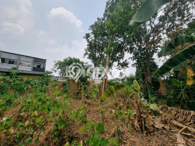 Lahan Dijual Lokasi Jagakarsa, Jakarta Selatan dengan Luas Tanah 653m2 dan Status SHM Lahan Dijual Lokasi Jagakarsa, Jakarta Selatan dengan Luas Tanah 653m2 dan Status SHM