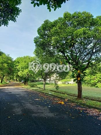Tanah di Cinere, Depok Luas 3703m2 Dijual Segera Tanah di Cinere, Depok Luas 3703m2 Dijual Segera