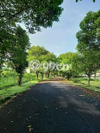 Tanah di Cinere, Depok Luas 3703m2 Dijual Segera Tanah di Cinere, Depok Luas 3703m2 Dijual Segera